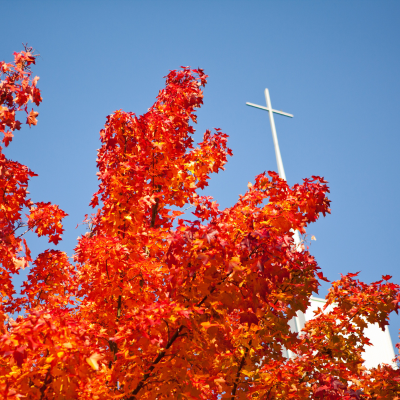 red fall leaves with white cross appearing from first free methodist church